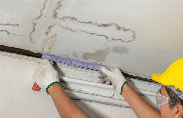 Reliable Water Damage contractor in Greenville, VA by Water Damage Irwin